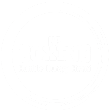 H3 Boxing Logo